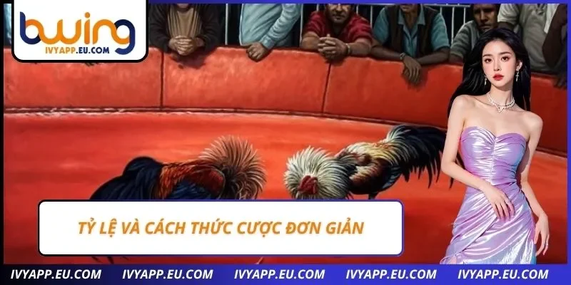 Tỷ lệ và cách thức cược đơn giản